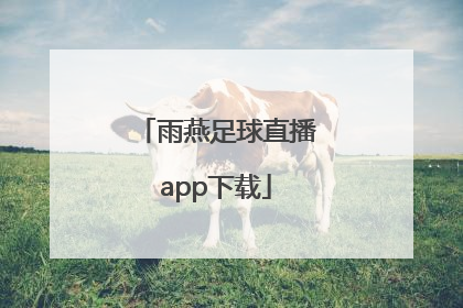 「雨燕足球直播app下载」雨燕直播足球直播官网app