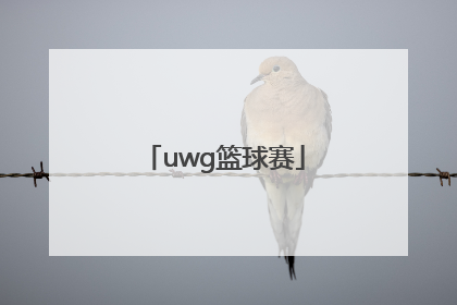 「uwg篮球赛」uwg篮球赛2021北京赛