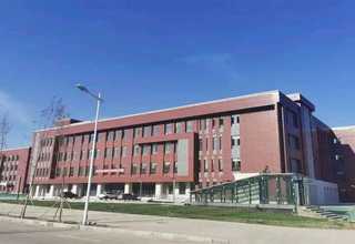 江苏质量按摩枪供应