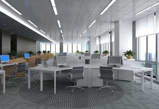 吉林比较好的宠物磨牙零食售后服务