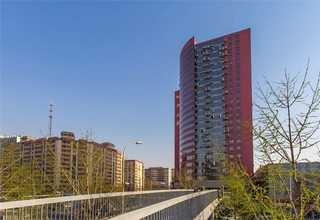 宜宾DHA藻油选哪种